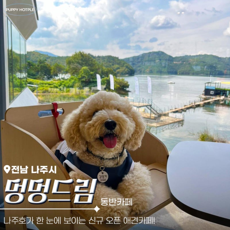 멍멍드림