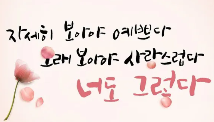  [ 시/생각 ] 풀꽃-나태주 시인