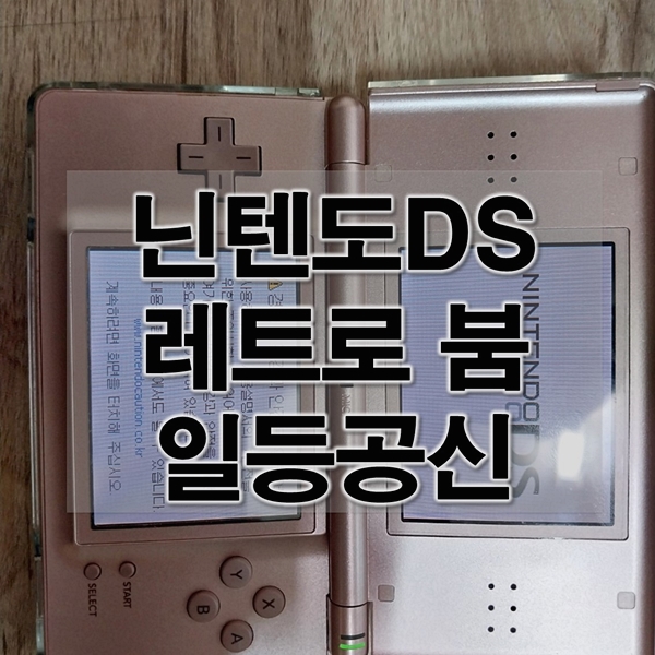 닌텐도DS 레트로 붐 일등공신