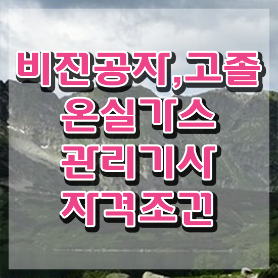  온실가스 관리산업기사 온실가스관리기사 자격요건 인강으로 빠르게 성공한 과정