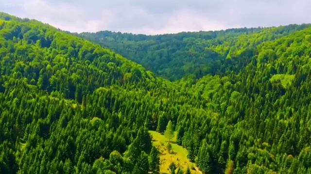  학점은행제 전문학사 전공 , 학점은행제 학사학위 관련학과 졸업장, 경력없어도 온라인으로 손쉽게 준비하는 노하우