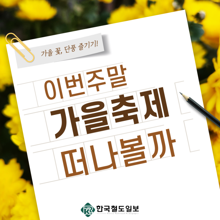  [국내여행 추천] 이번 주말 가을축제…국화축제부터 단풍놀이까지 [한국철도일보]