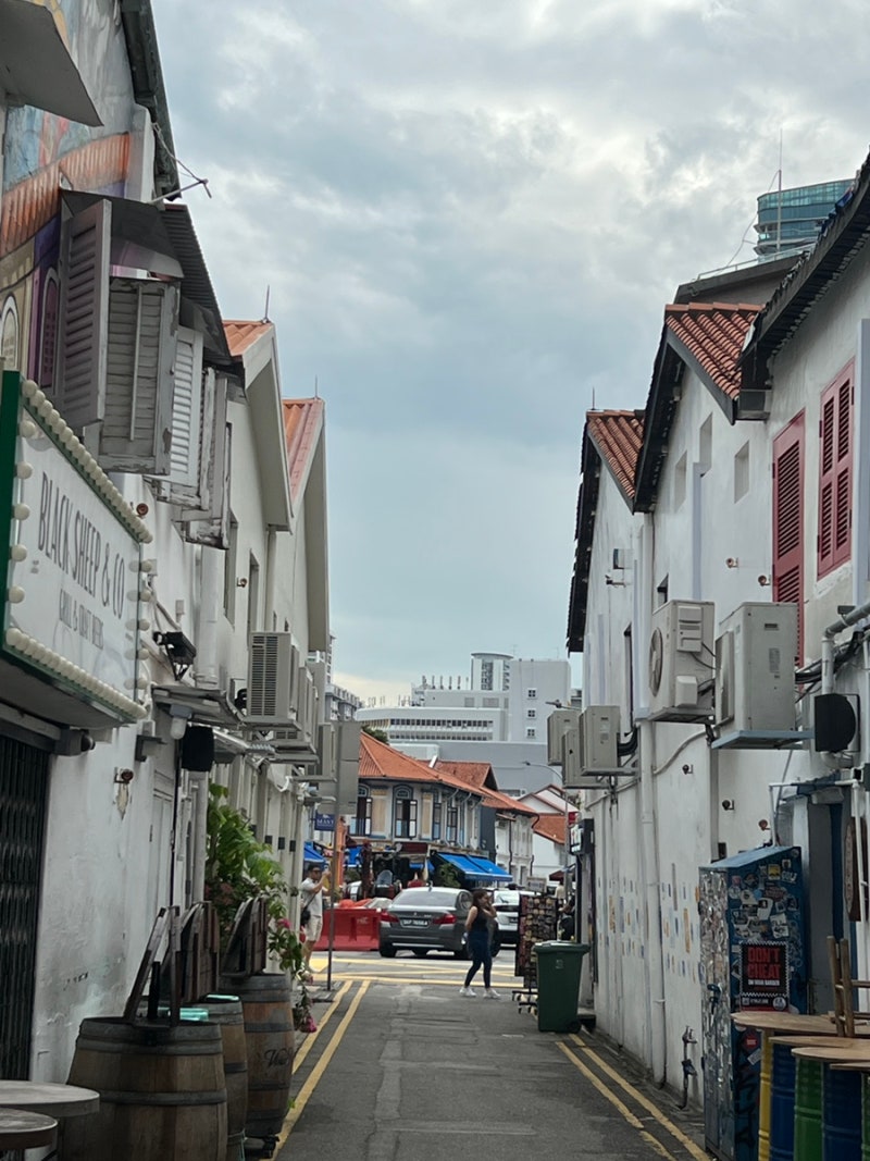 싱가포르 여행지 하지레인 아랍스트리트 술탄모스크 포토존 : 네이버 블로그