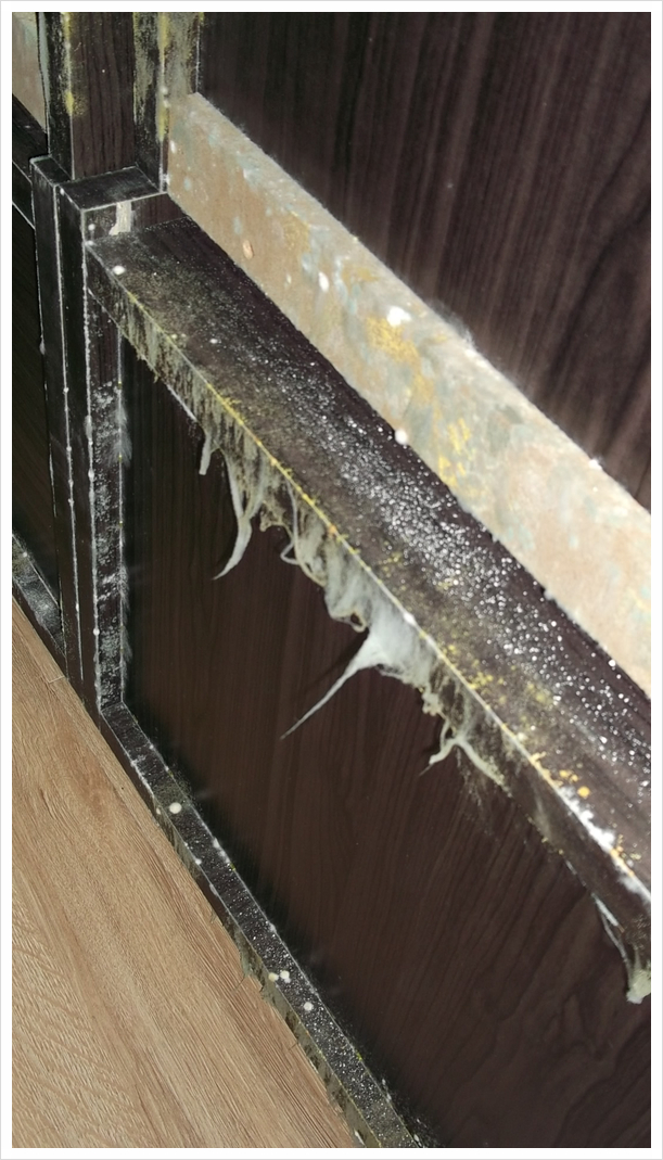  도배 후 벽지곰팡이 및 가구 곰팡이? 무료진단!