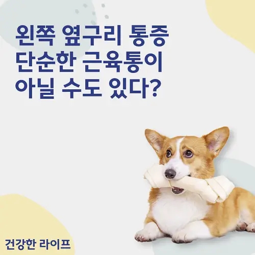  왼쪽 옆구리 통증, 단순한 근육통이 아닐 수도 있다?