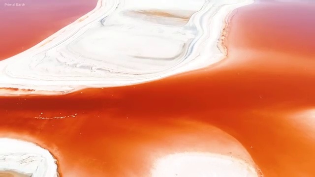  경영학 인강 , 경영학 학사 온라인 과정만으로 편하게 준비한 방법