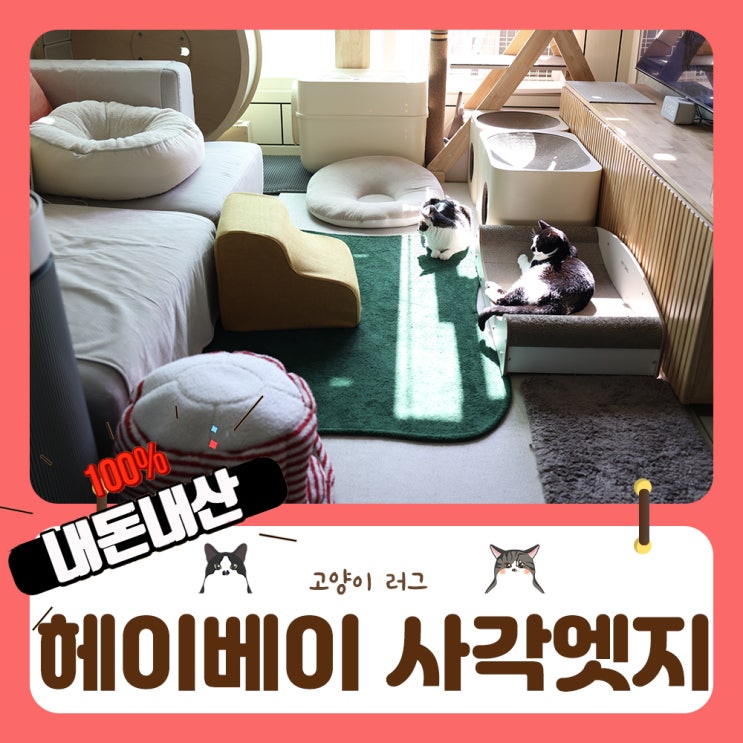  펫테리어의 완성 헤이베이 사각엣지 포인트러그