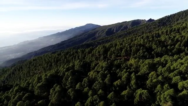  품질경영산업기사 2024 품질경영산업기사 자격요건 집에서 온라인으로 간단하게 완료한 노하우