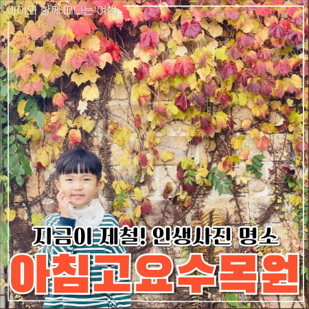  아침고요수목원 단풍 서울근교 나들이