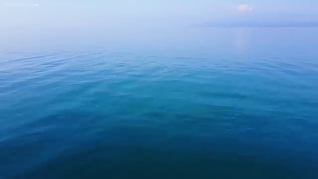  코디네이터채용 , 뷰티코디네이터 자격증 독학으로 준비한 방법 확인해봅시다
