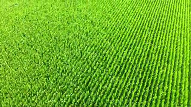 사회복지사자격증학원 , 사회복지사2급 직장인도 학은제 활용하여 쉽고 빠르게