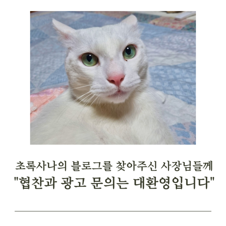  협찬 & 광고 문의 대환영