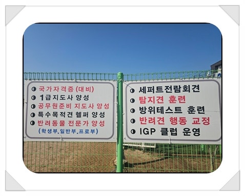 사진 4
