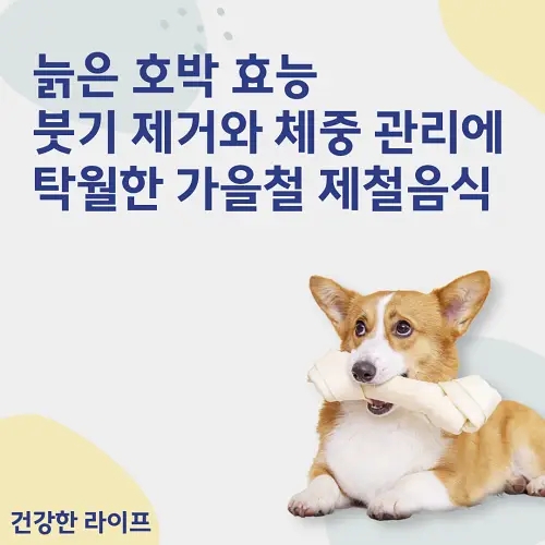  늙은 호박 효능, 붓기 제거와 체중 관리에 탁월한 가을철 제철음식