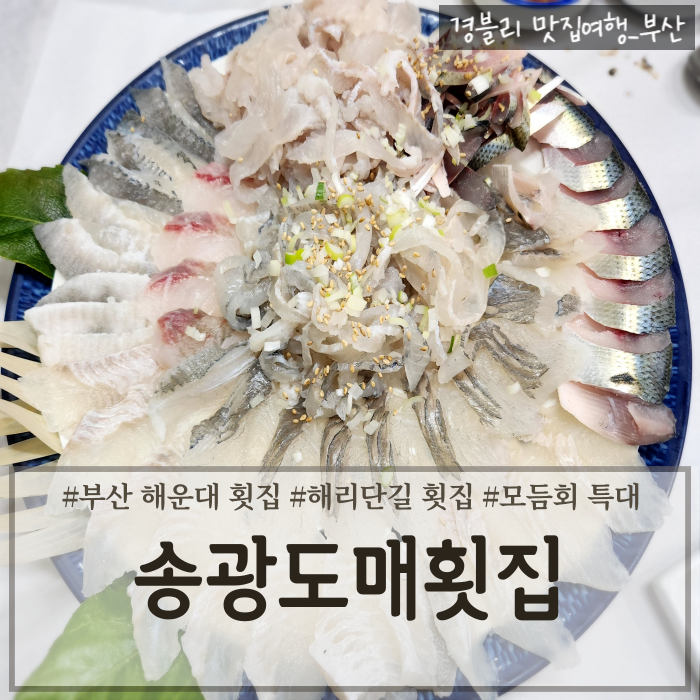  부산해운대횟집추천 해운대현지인맛집 해리단길횟집 '송광도매횟집'