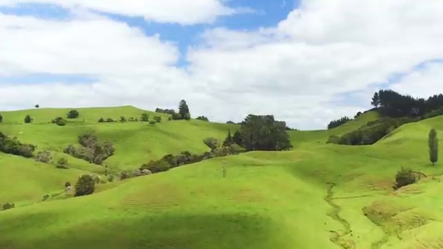  사회복지 공무원 자격 , 사회복지사2급 직장인도 온라인 수업으로 손쉽게