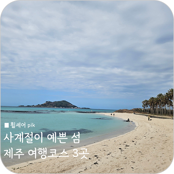 사계절이 예쁜 섬 제주 🏝️