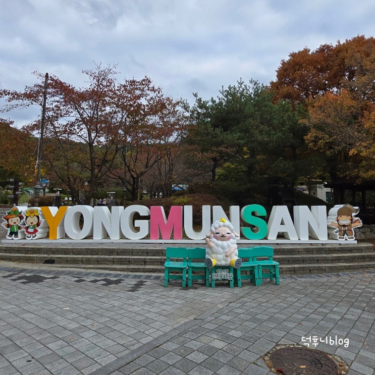  [용문산 관광단지] 가을을 제대로 느낄 수 있는 양평 가을 명소 추천