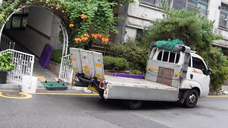  아파트 포장이사 비용 절약 방법 후기
