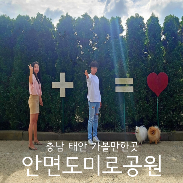  충남 태안 안면도 가볼만한곳 바람아래관광농원 안면도미로공원 애견동반 후기