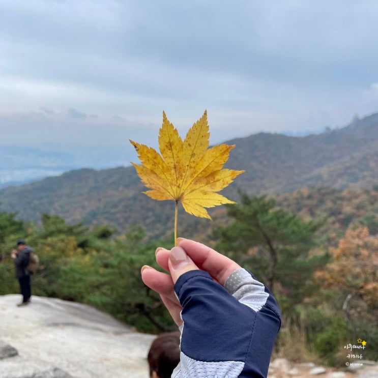  서울 단풍 명소, 지금 가야 해! 도봉산 Y계곡 등산 코스