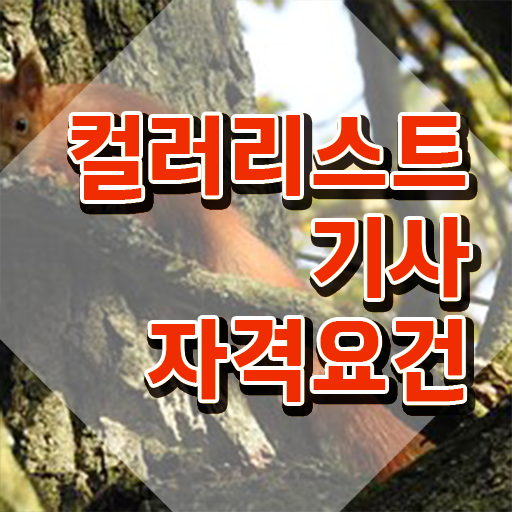  컬러리스트기사 필기 과목 컬러리스트기사 취득자격 온라인 수업으로 간단하게 완료한 후기