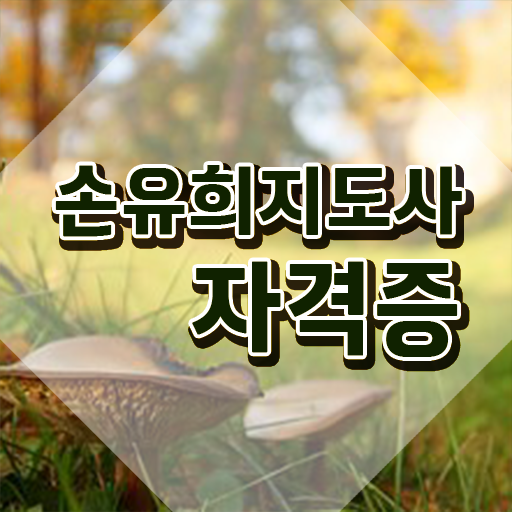  손유희지도사2급자격증취득법 , 손유희지도사 자격증 독학으로 합격한 후기 , 향후 전망