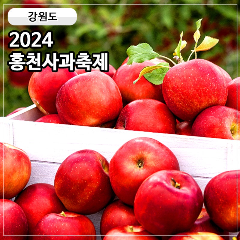 2024 홍천사과축제 기본정보 11월 강원도 축제