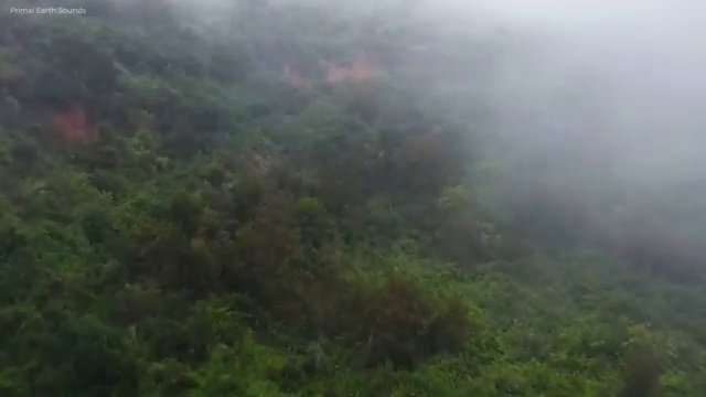  학점은행제 48학점 고졸자를 위해 과정을 완벽하게 챙겨주는 학점은행제 플래너 확인해보세요
