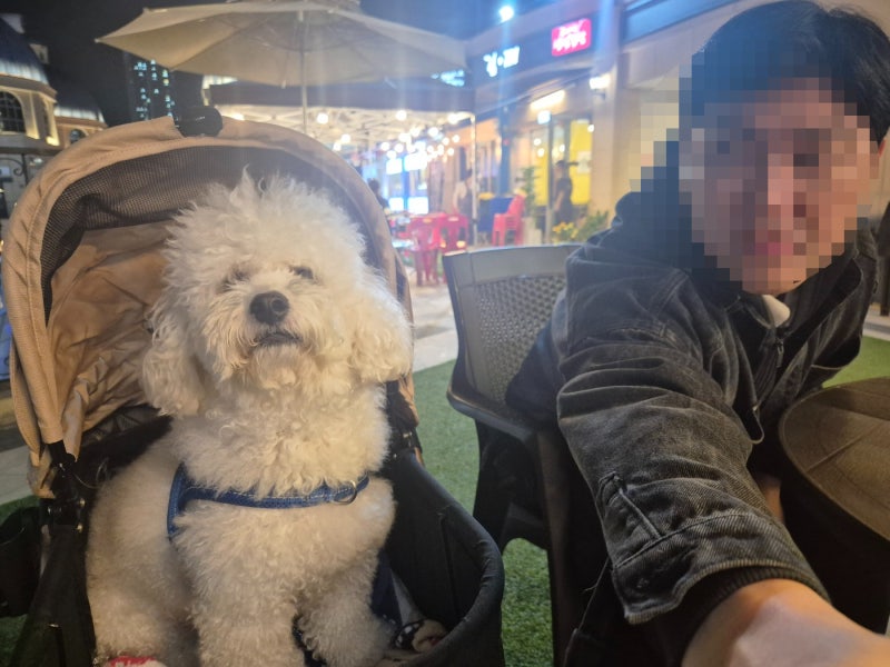 사진 5