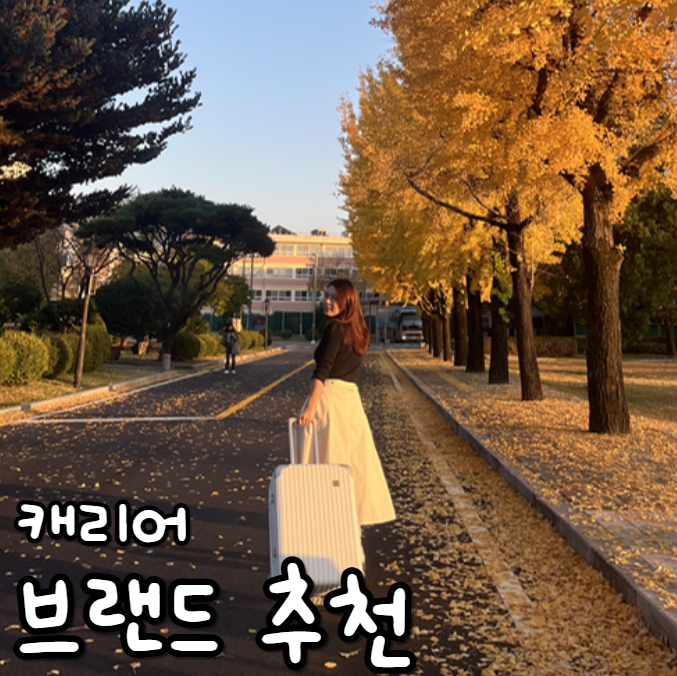  캐리어 브랜드 추천 튼튼한 캐리어 24인치 20인치 28인치 '페더스'
