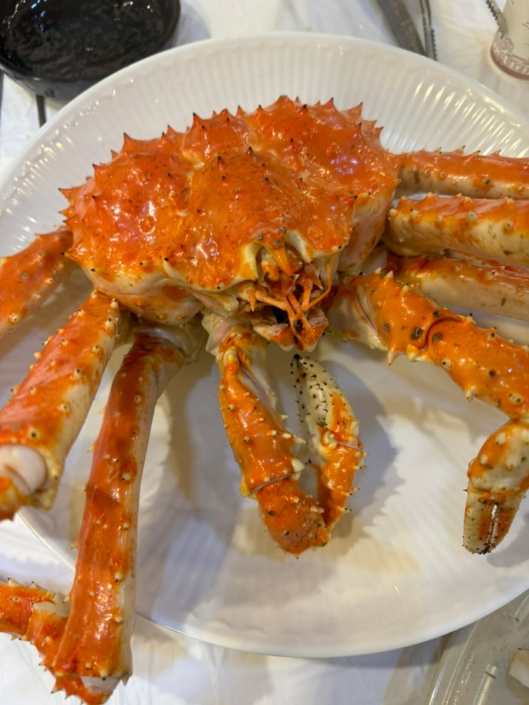  노량진 수산시장 내돈내먹 킹크랩 맛집 전북수산&서울의달 솔직후기