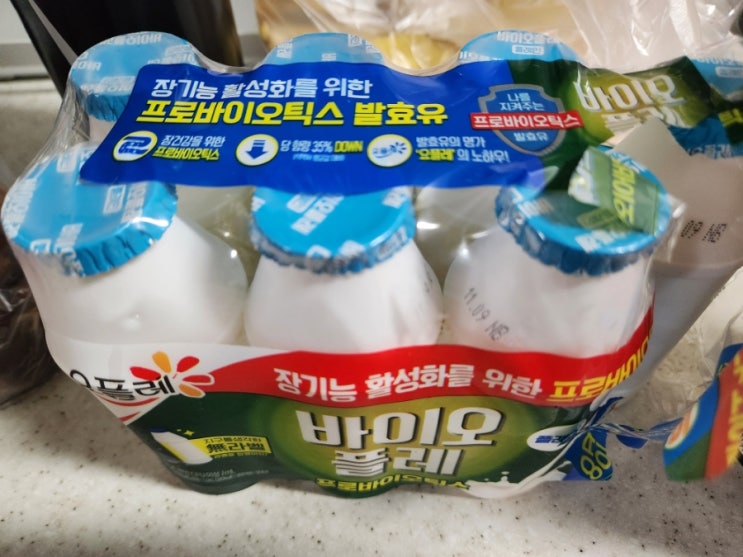  전기밥솥 수제 그릭요거트 만들기 바이오플레 발효유 사용