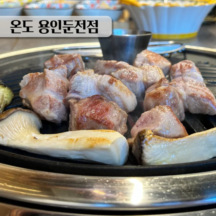  용인 포곡 맛집 둔전 고기집 온도 용인둔전점