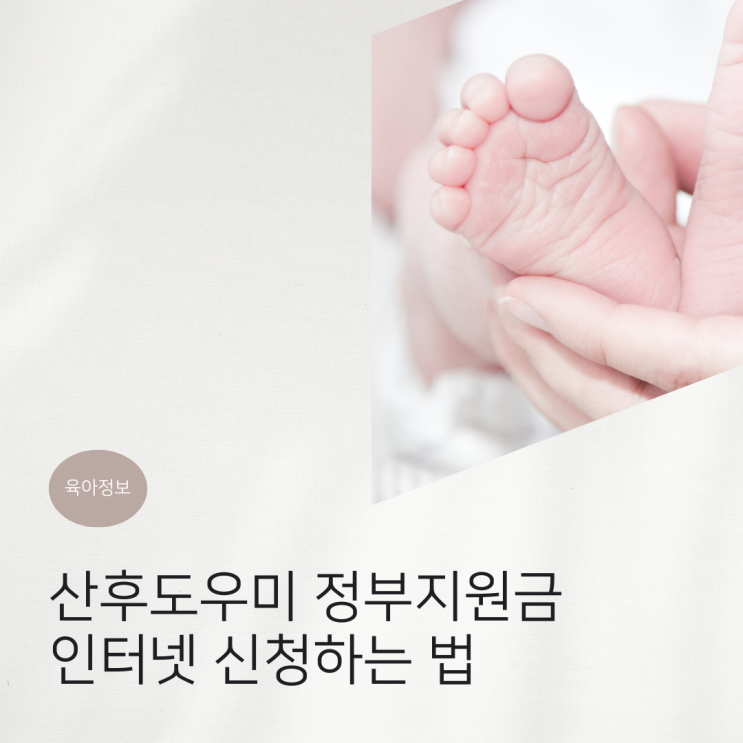  산후도우미 정부지원금 신청 보건소 방문없이 인터넷으로 간편하게 하기