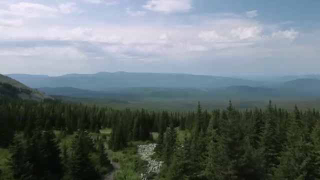  산림 산업기사 , 산림기사 자격요건 온라인으로 편하게 준비한 팁