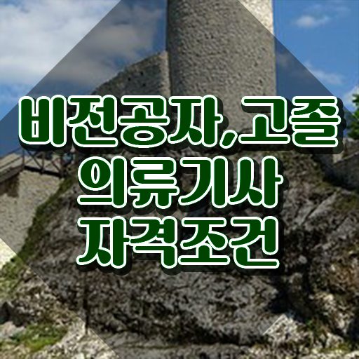  의류기사 시험 자격 의류기사 응시조건 온라인으로 간편하게 준비한 방법