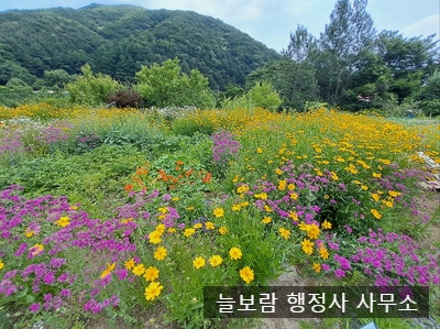  체류지(거소) 변경 신고