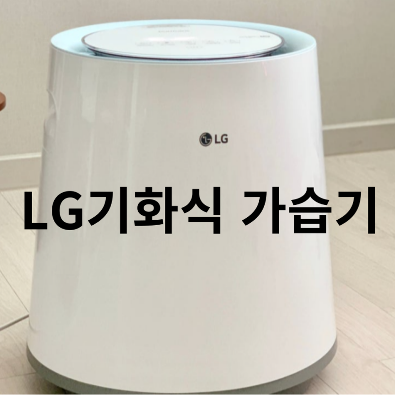 LG자연 기화식 가습기 청소 및 장단점