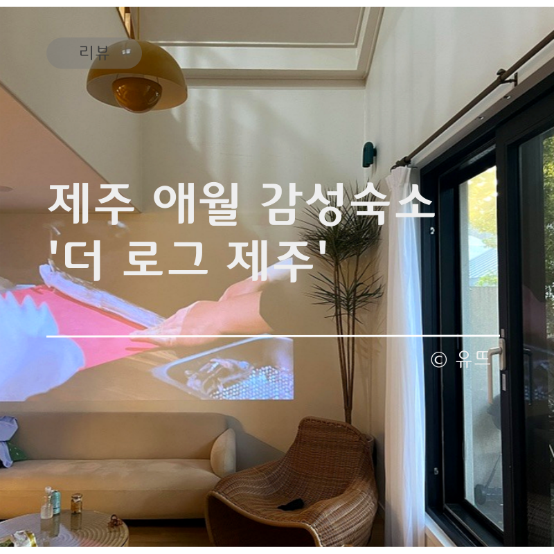 더로그제주 — 제주시