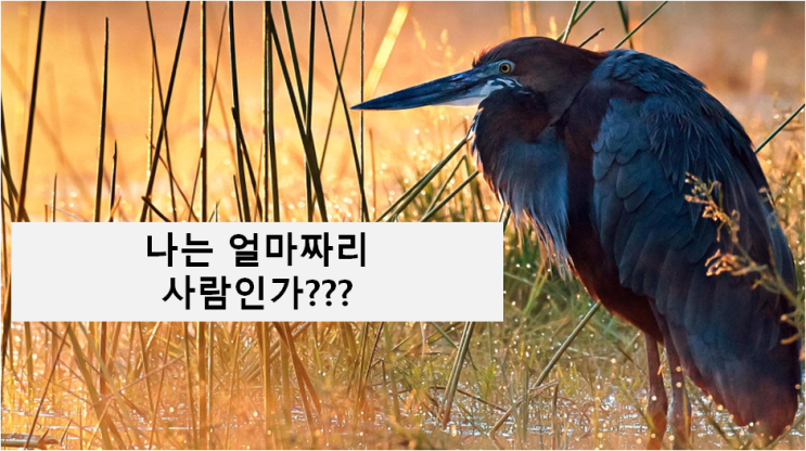  [Yi's]나는 얼마짜리 행정사인가???