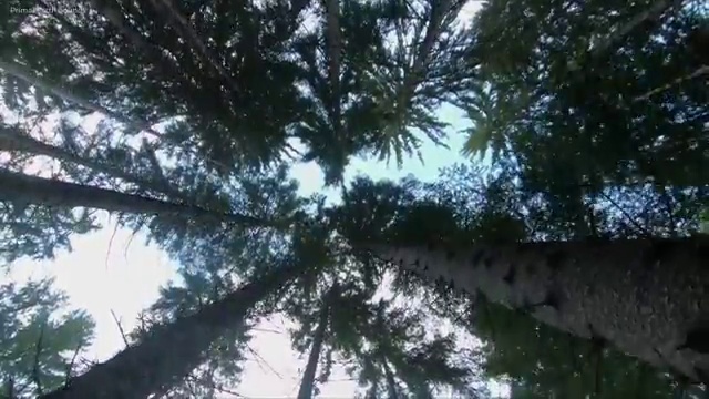  학점은행제 80학점 학점은행제 전문멘토 이것만 결정하세요
