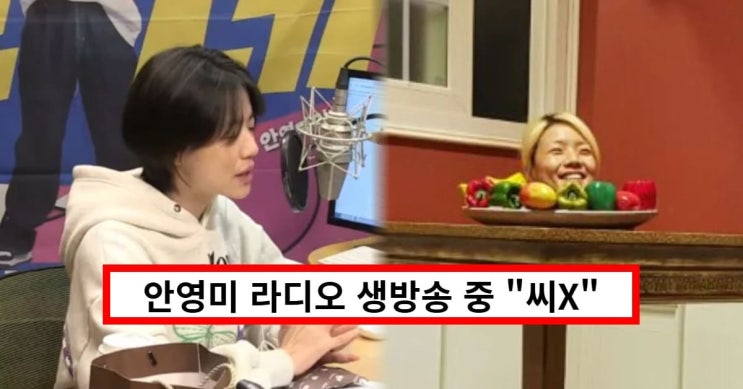<b>욕설</b> <b>안영미</b> 라디오 욕 논란, 젖년이 성희롱으론 부족했나...... 