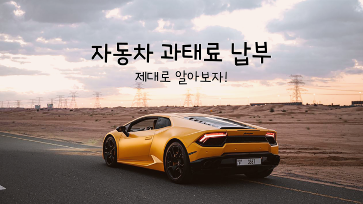 자동차 과태료 납부와 범칙금, 벌금과의 차이점