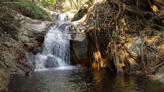  부동산매매 계약서류 , 부동산자산관리전문가 부동산자산관리사 합격 후기 및 취업관련 정보