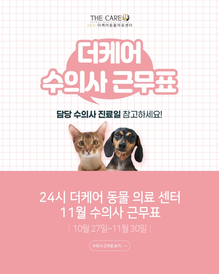  [24시더케어동물의료센터] 2024년 11월 더케어동물의료센터 의료진 스케줄 안내