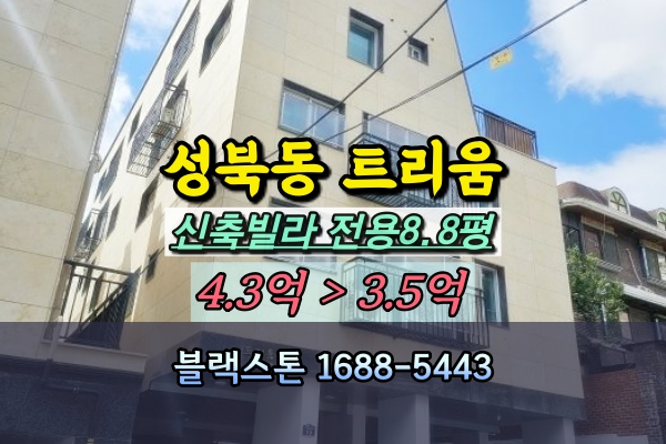  성북동 신축빌라 투룸 경매 트리움 엘베있는 2층 3억대