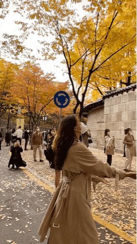  서울 가을 가볼 만한 곳 덕수궁 돌담길 단풍놀이