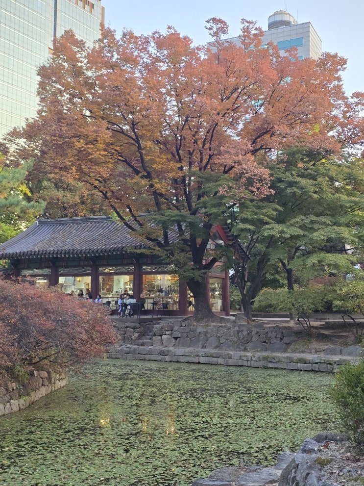  덕수궁 야간개장 돌담길 단풍 현황, 복원된 돈덕전 구경