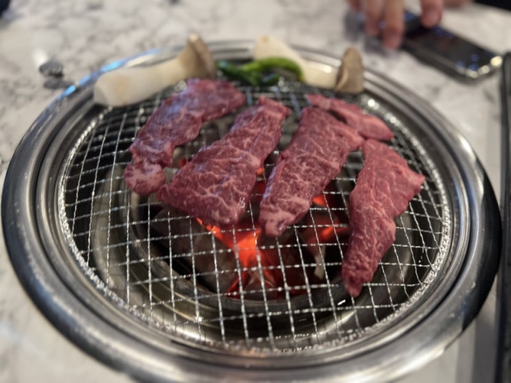  대전 마장동고기집, 탄방동 숯불 소고기 맛집